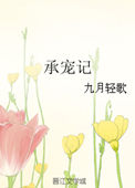 承宠贵妃宰相态度